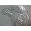 speculum