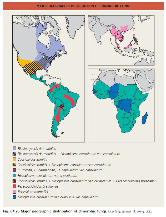 Fig 64.20