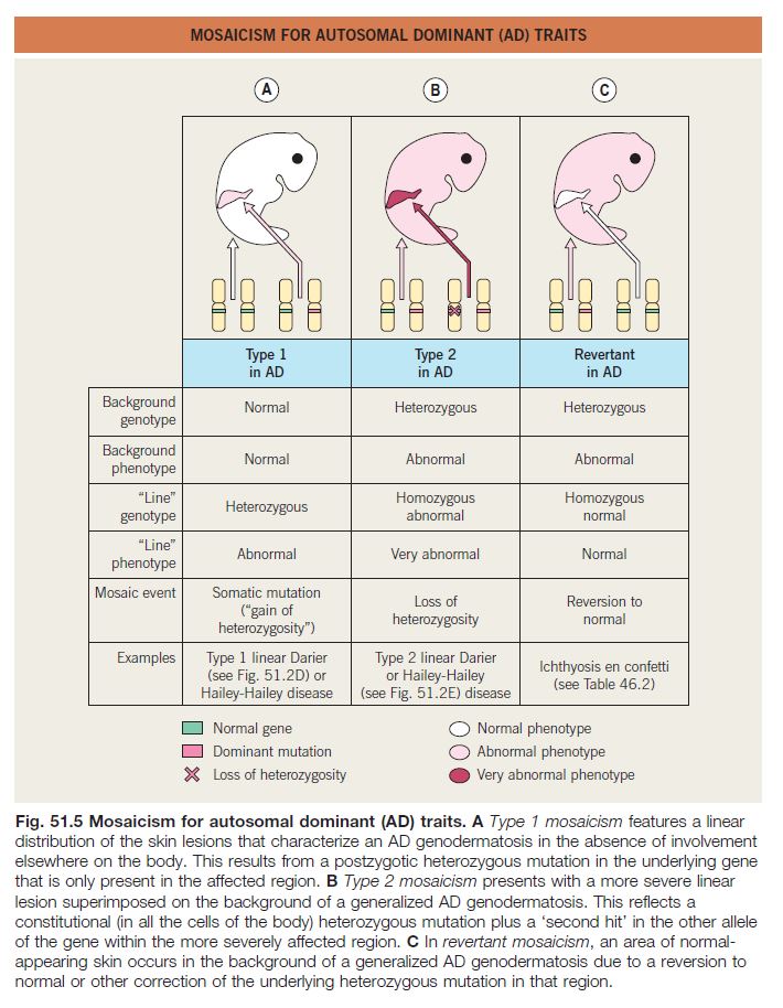 Fig 51.5